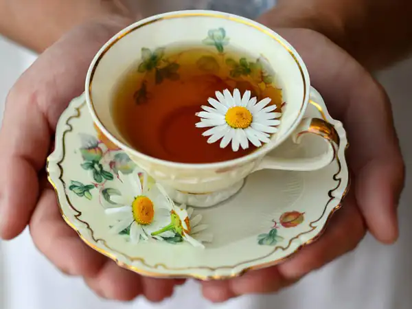 تعبیر خواب خوردن بابونه + برای زن متاهل و باردار و دختر مجرد و از دید مولف