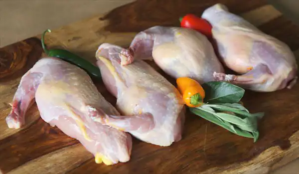 تعبیر خواب خوردن گوشت قرقاول + برای زن متاهل و باردار و دختر مجرد و از دید مولف