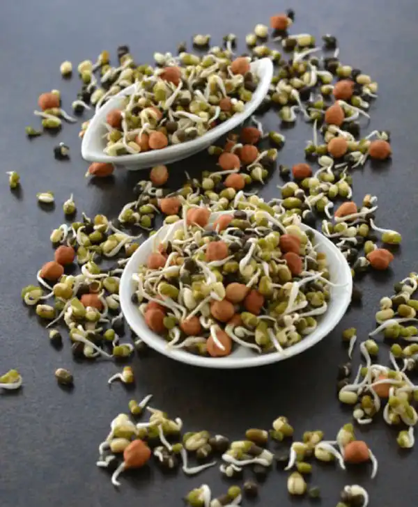 تعبیر خواب ماش چیدن + برای زن متاهل و باردار و دختر مجرد و از دید مولف