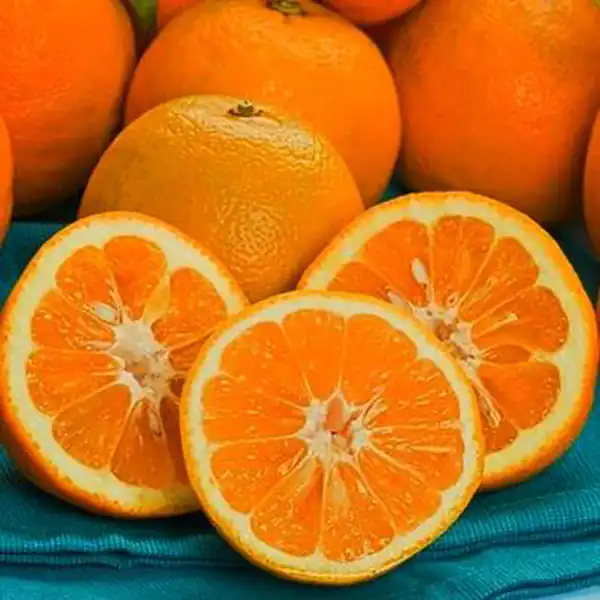 تعبیر خواب نارنج خوردن + برای زن متاهل و باردار و دختر مجرد و از دید مولف