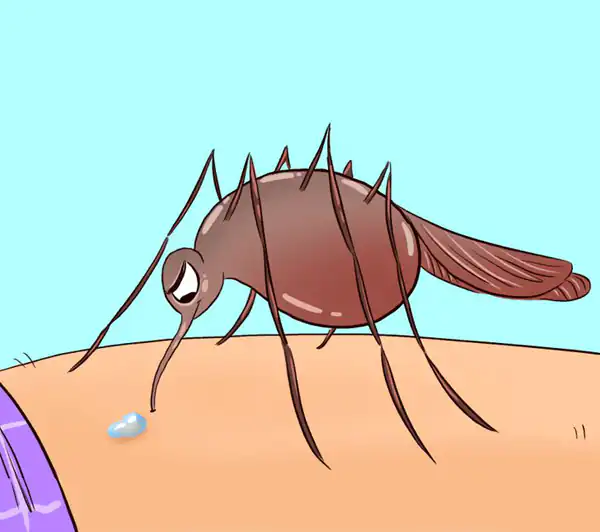 تعبیر خواب نیش زدن حشرات + برای زن متاهل و باردار و دختر مجرد و از دید مولف