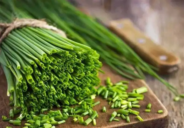 تعبیر خواب سبزی تره + برای زن متاهل و باردار و دختر مجرد و از دید مولف