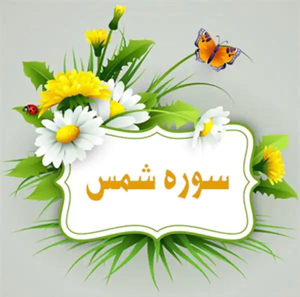 تعبیر خواب سوره شمس + برای زن متاهل و باردار و دختر مجرد و از دید مولف