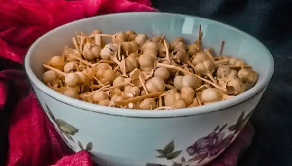 تعبیر خواب اسپند چیدن چیست + برای زن متاهل و باردار و دختر مجرد و از دید مولف