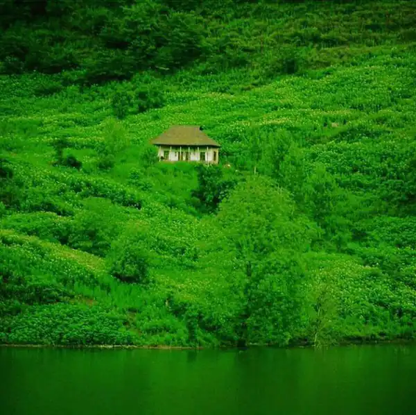 تعبیر خواب زمین سرسبز + برای زن متاهل و باردار و دختر مجرد و از دید مولف