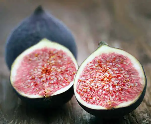 تعبیر خواب انجیر ابن سیرین + برای زن متاهل و باردار و دختر مجرد و از دید مولف