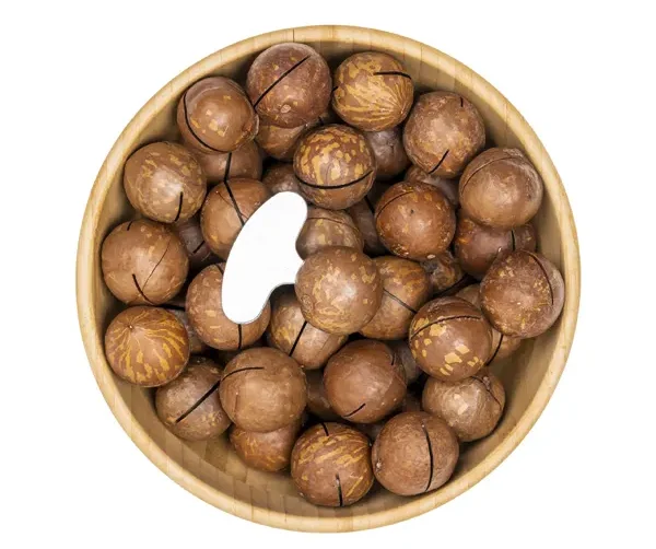 تعبیر خواب فندق نی نی سایت + معنی فندق در خواب