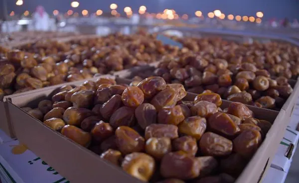 تعبیر خواب خرما و حلوا + معنی خرما و حلوا در خواب