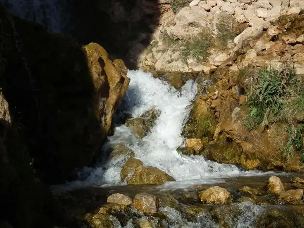 تعبیر خواب چشمه در مسجد + معنی چشمه در مسجد در خواب های ما چیست