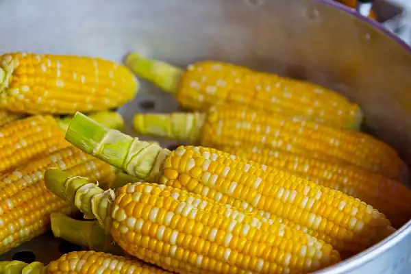 تعبیر خواب گرفتن ذرت از مرده + معنی گرفتن ذرت از مرده در خواب های ما چیست