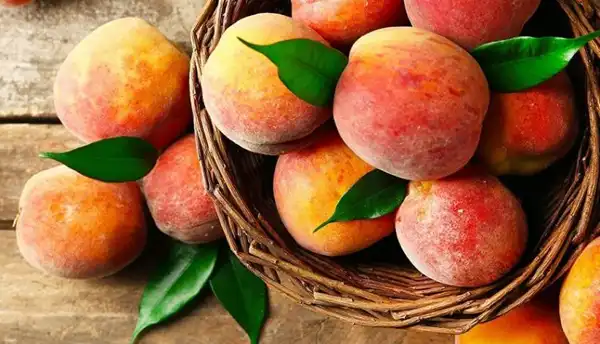تعبیر خواب هلو دادن به دیگران + معنی هلو دادن به دیگران در خواب های ما چیست