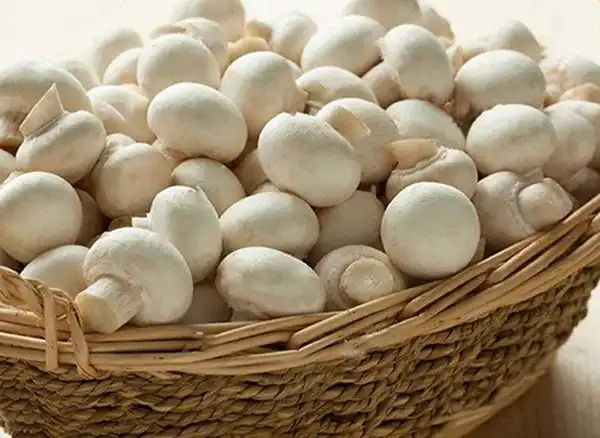 تعبیر خواب خریدن قارچ سفید + معنی خریدن قارچ سفید در خواب های ما چیست