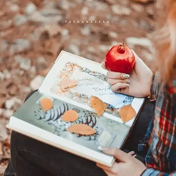 مدل عکس گرفتن + بهترین ایده ها برای عکس گرفتن توسط بهترین عکاسان ایران