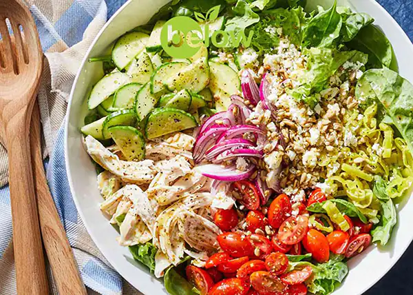 چند مدل سالاد رژیمی + خوشمزه ترین و ناب ترین مدل های سالاد رژیمی امسال