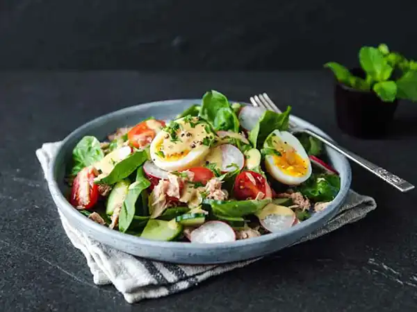 چند مدل سالاد رژیمی + خوشمزه ترین و ناب ترین مدل های سالاد رژیمی امسال