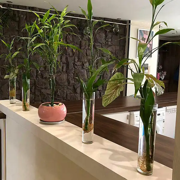 مدل گلدان استوانه ای + زیباترین مدل های گلدان استوانه ای ترند امسال بسیار خوشگل