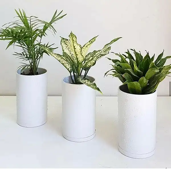 مدل گلدان استوانه ای + زیباترین مدل های گلدان استوانه ای ترند امسال بسیار خوشگل