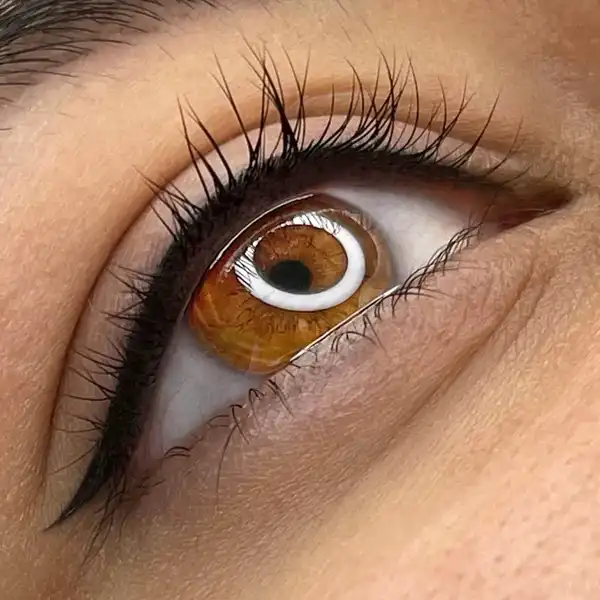 مدل تاتو خط چشم جدید + جدیدترین تکنیک های شیک و طبیعی برای تاتو خط چشم دائمی