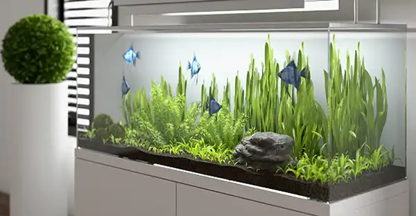 مدل آکواریوم دیواری + جذاب ترین اکسسوری برای فضای لوکس و متفاوت