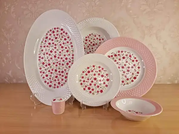 مدل سرویس غذاخوری چینی + شیک ترین و جدید ترین طرح های خاص و لاکچری