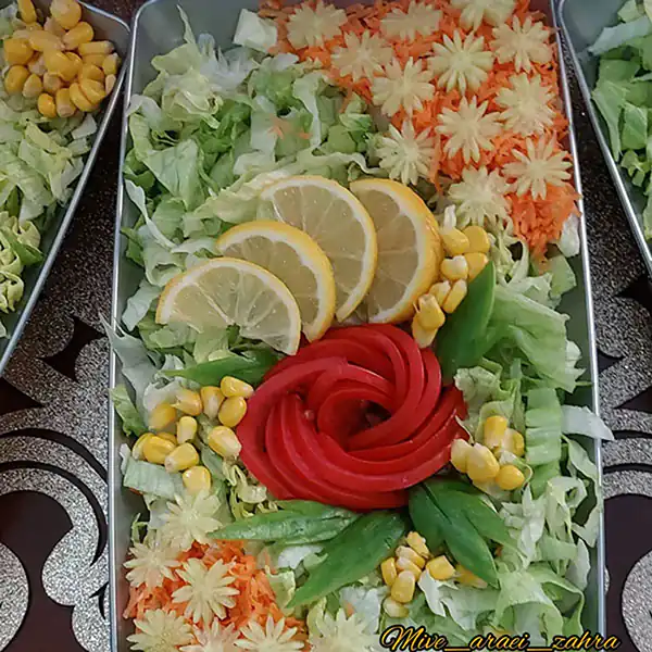 چند مدل سالاد برای مهمانی + زیباترین مدل های سالاد برای مهمانی های اعیانی