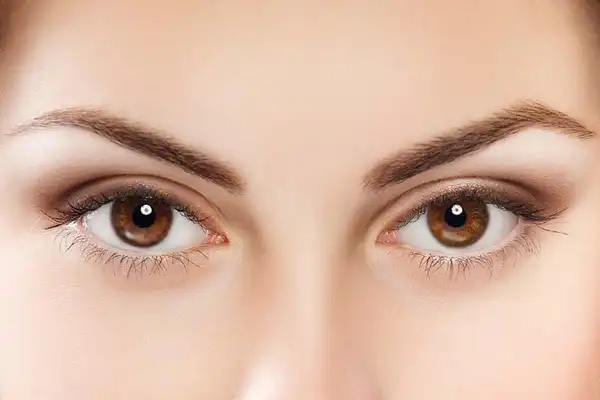 انواع فرم چشم + انواع فرم چشم و آشنایی با فرم های بسیار خواستنی و جذاب آن