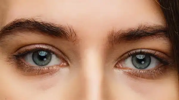 انواع فرم چشم + انواع فرم چشم و آشنایی با فرم های بسیار خواستنی و جذاب آن