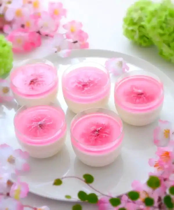 جدیدترین مدل ژله تک نفره + جدیدترین مدل ژله تک نفره خوش طعم و خوش ظاهر